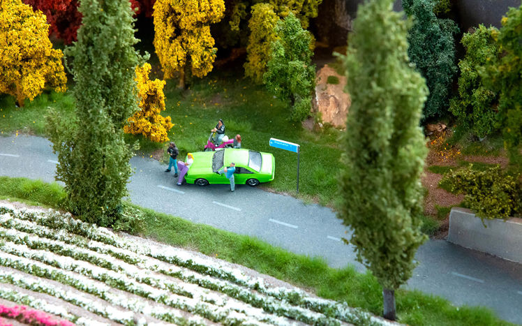 Welt von oben auto tulpen