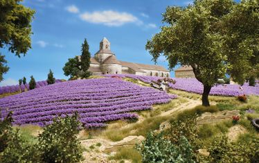 Provence lavendelfeld abteisenanque tag min