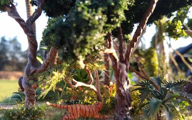 IMG 20230815 090404564