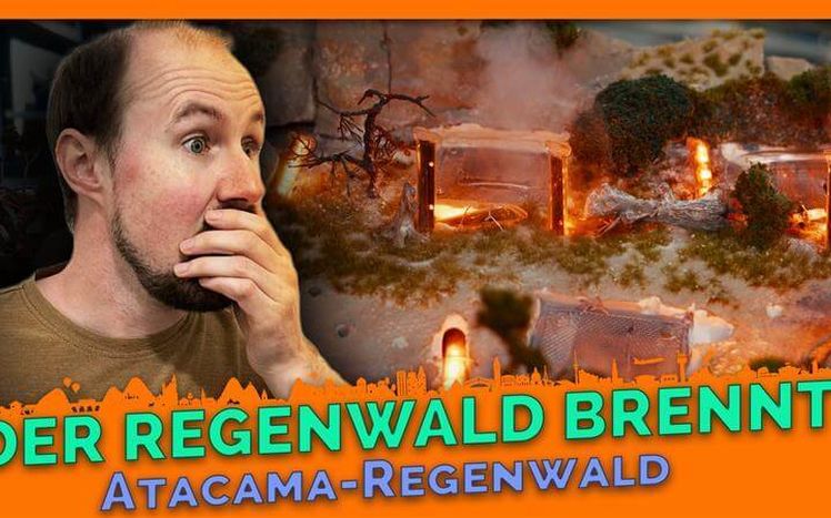 Thumbnail regenwald brennt
