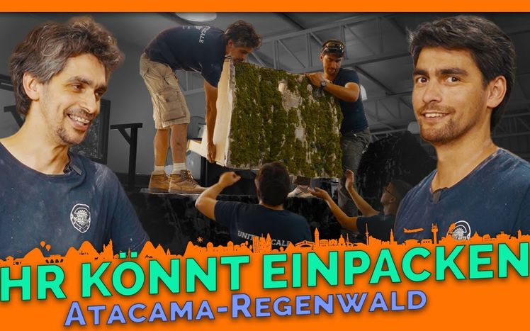 Regenwaldupdate 22 verschiffen