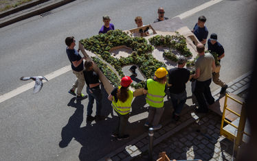 Regenwald Anlieferung 53