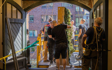 Regenwald Anlieferung 61