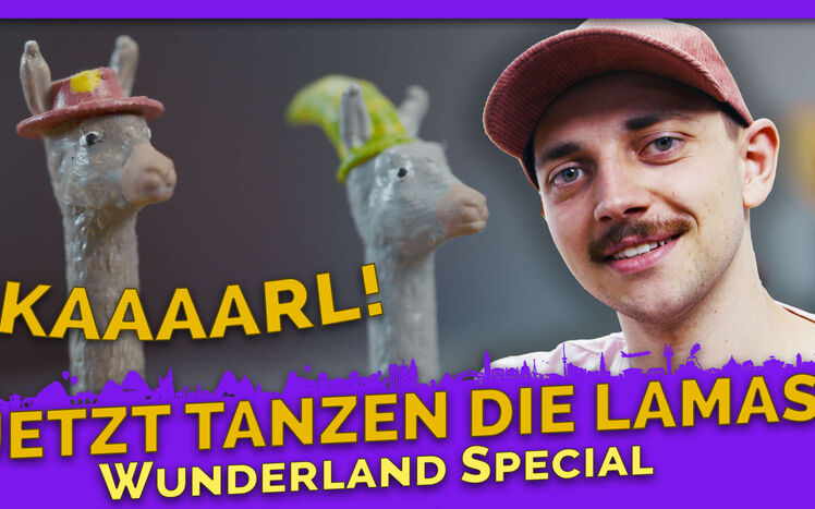 Thumbnail wunderland special tanzende lamas