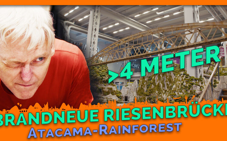 Thumbnail regenwald update 29