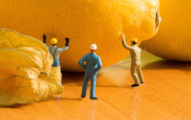 Sonderveranstaltung Kuli Bauarbeiter Preiser Zitrone