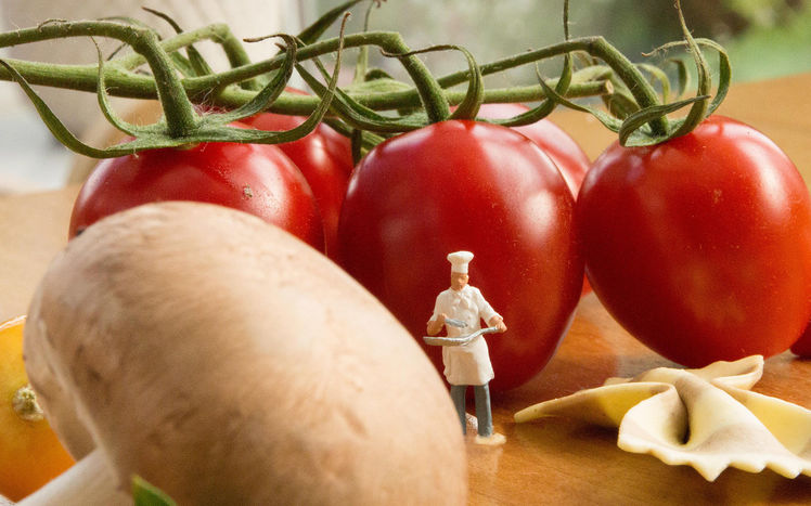 Sonderveranstaltung Kuli Koch Preiser Tomate