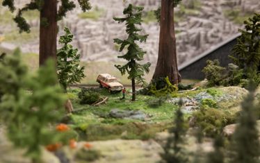 Amerika Tanne Anlage Knopfdruckaktion