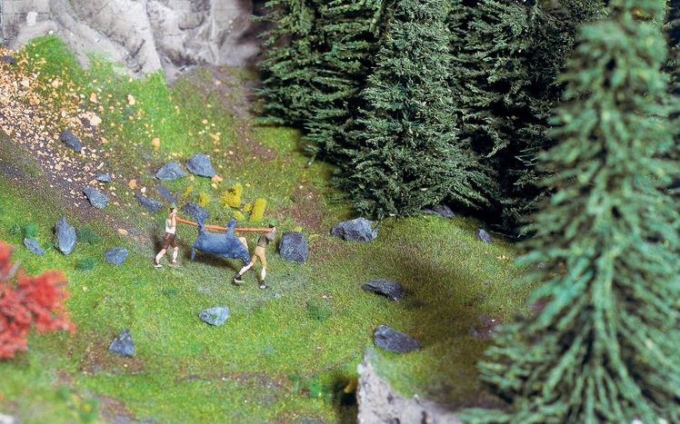 Oesterreich Alpen Wilderer Wald