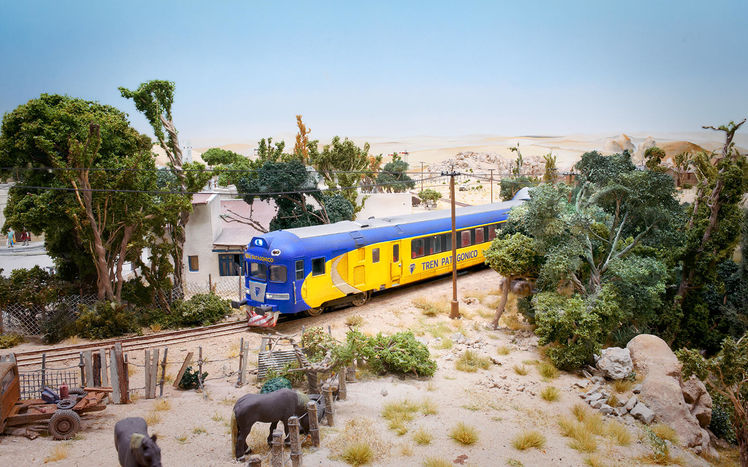 Patagonien jacobacci zug breitspur