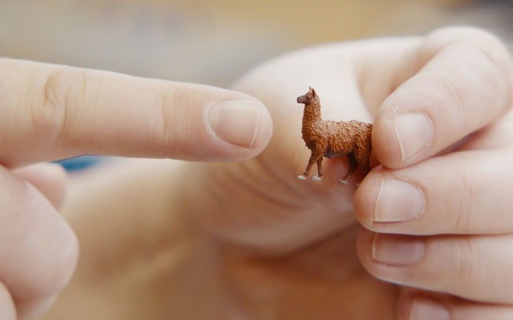 Regenwald bau pilar llama detail