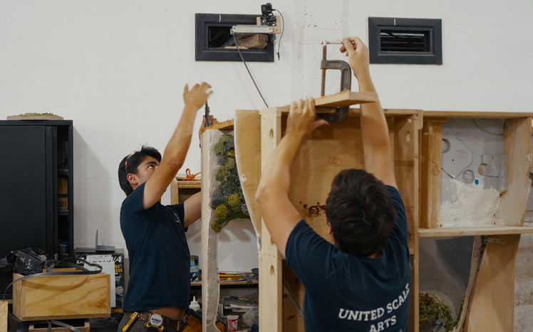 Regenwald bau pilar versand 03