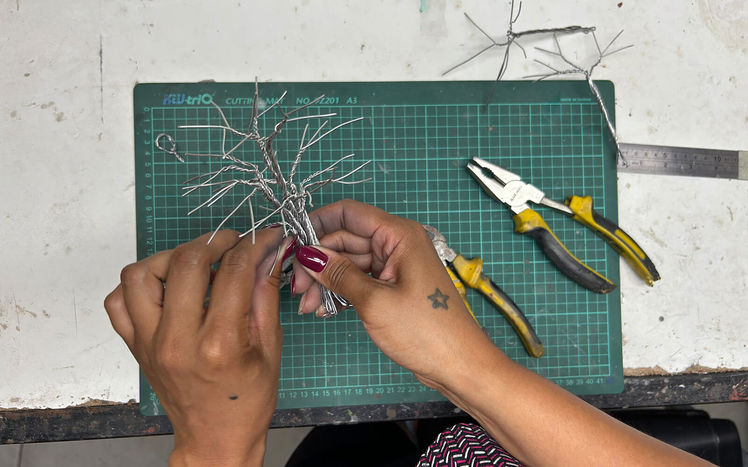 Regenwald bau baum 02