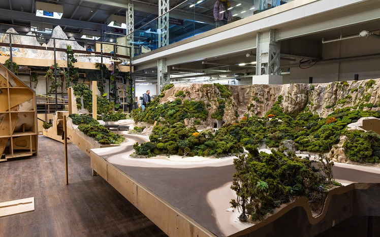 Regenwald anlieferung 03