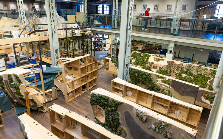 Regenwald anlieferung 06