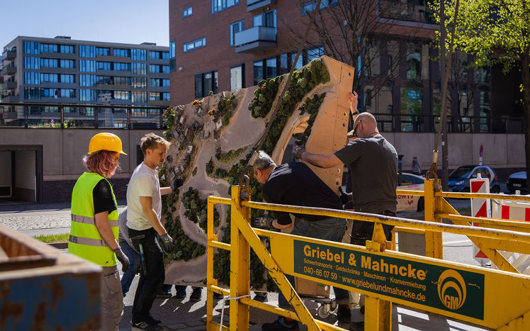 Regenwald anlieferung 11