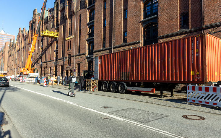 Regenwald anlieferung 15