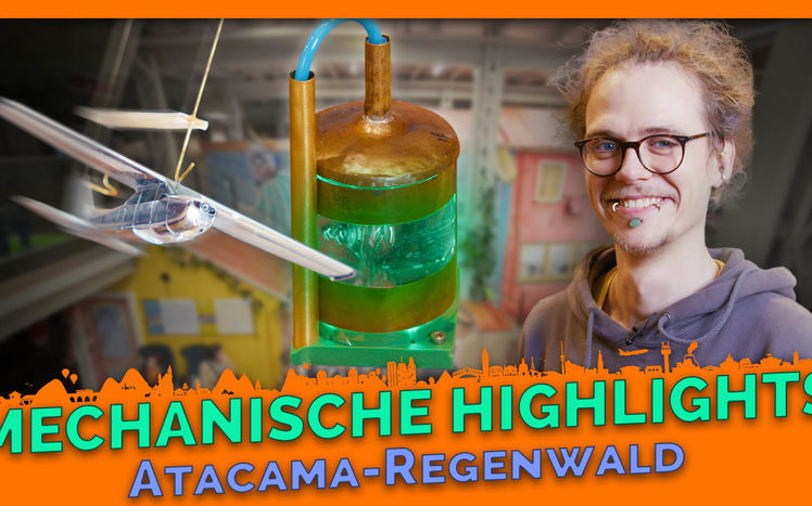 Thumbnail Regenwald Atacama mechanische highlights