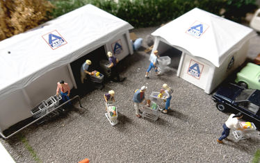 Dgs 1990 1999 01 bluehende landschaften