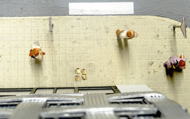 Dgs 2000 2009 06 stolpersteine